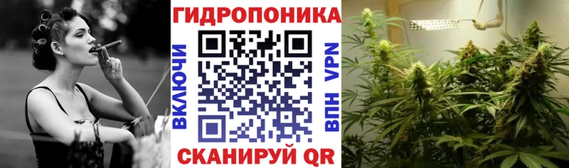 Шишки марихуана конопля  Карабаново 